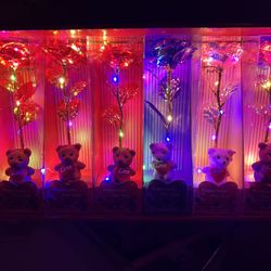 Eternal Roses Diferent Prices