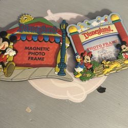 To Disney World Picture Frames Magnets