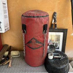 50 Pound punching Bag