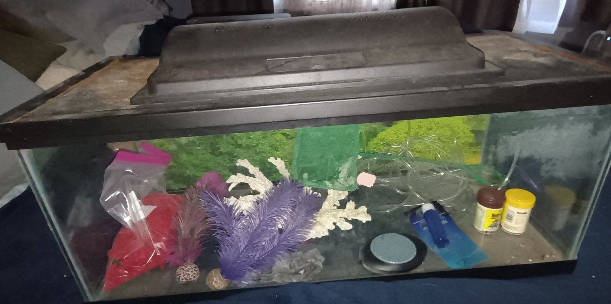 20 Gallon Tank with All Components