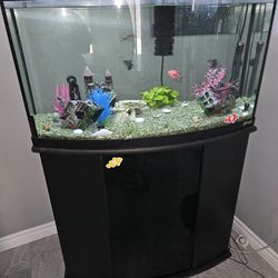 35 Gallon Fish Tank