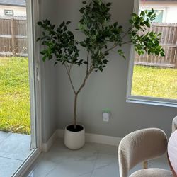 Indoor Tree Like New