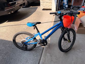Kids 20 inch blue bike