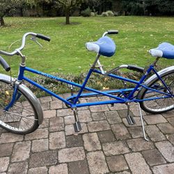 Schwinn Twinn Bicycle 