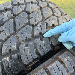 Nitto Terra Grappler G2 | 295/65/20