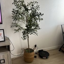 Artificial Olive Tree in Woven Basket Planter