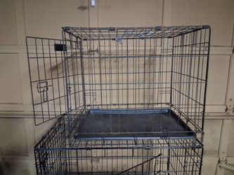 S kennel
