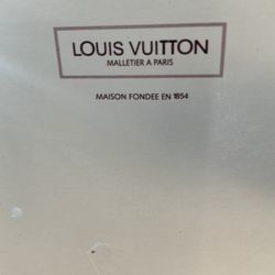 Louis Vuitton Bag