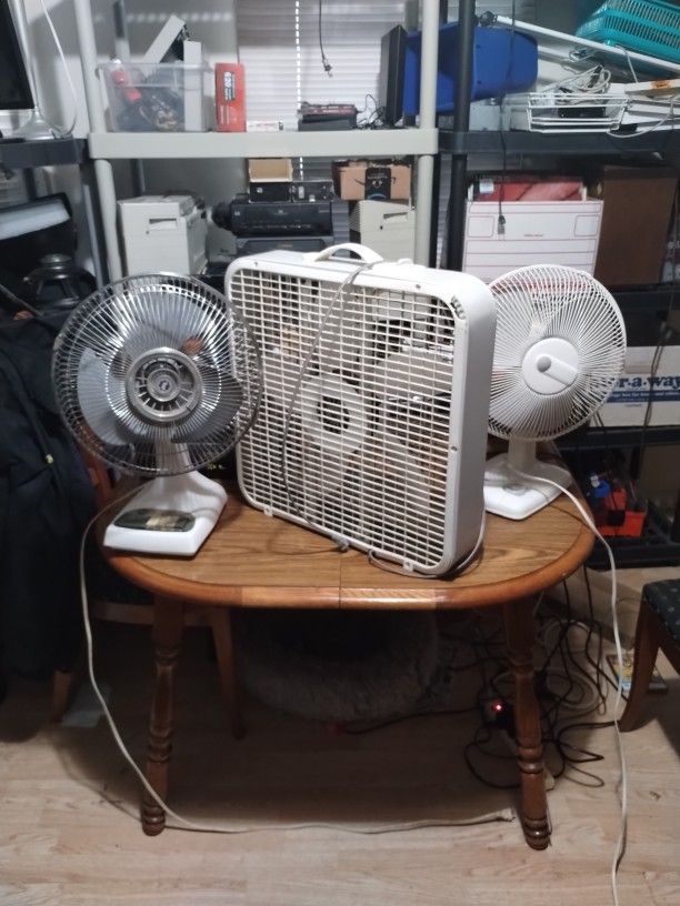 Fans