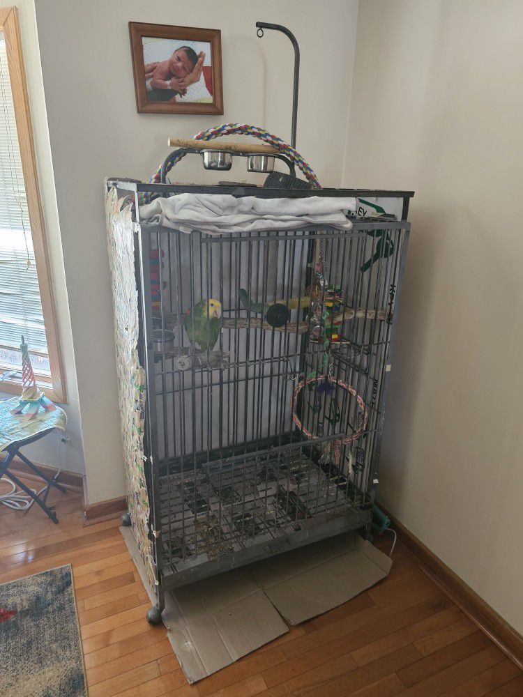 Cages And Bird Stands For Sale 