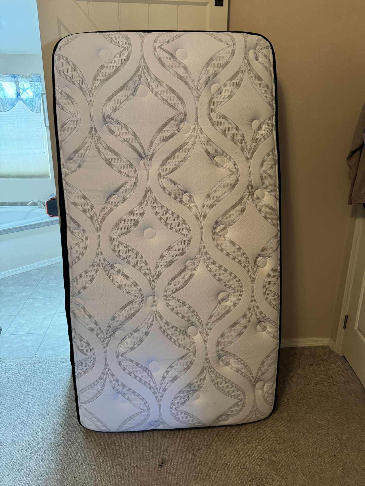 Two Twin Mattresses