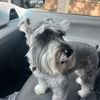Priscilla 