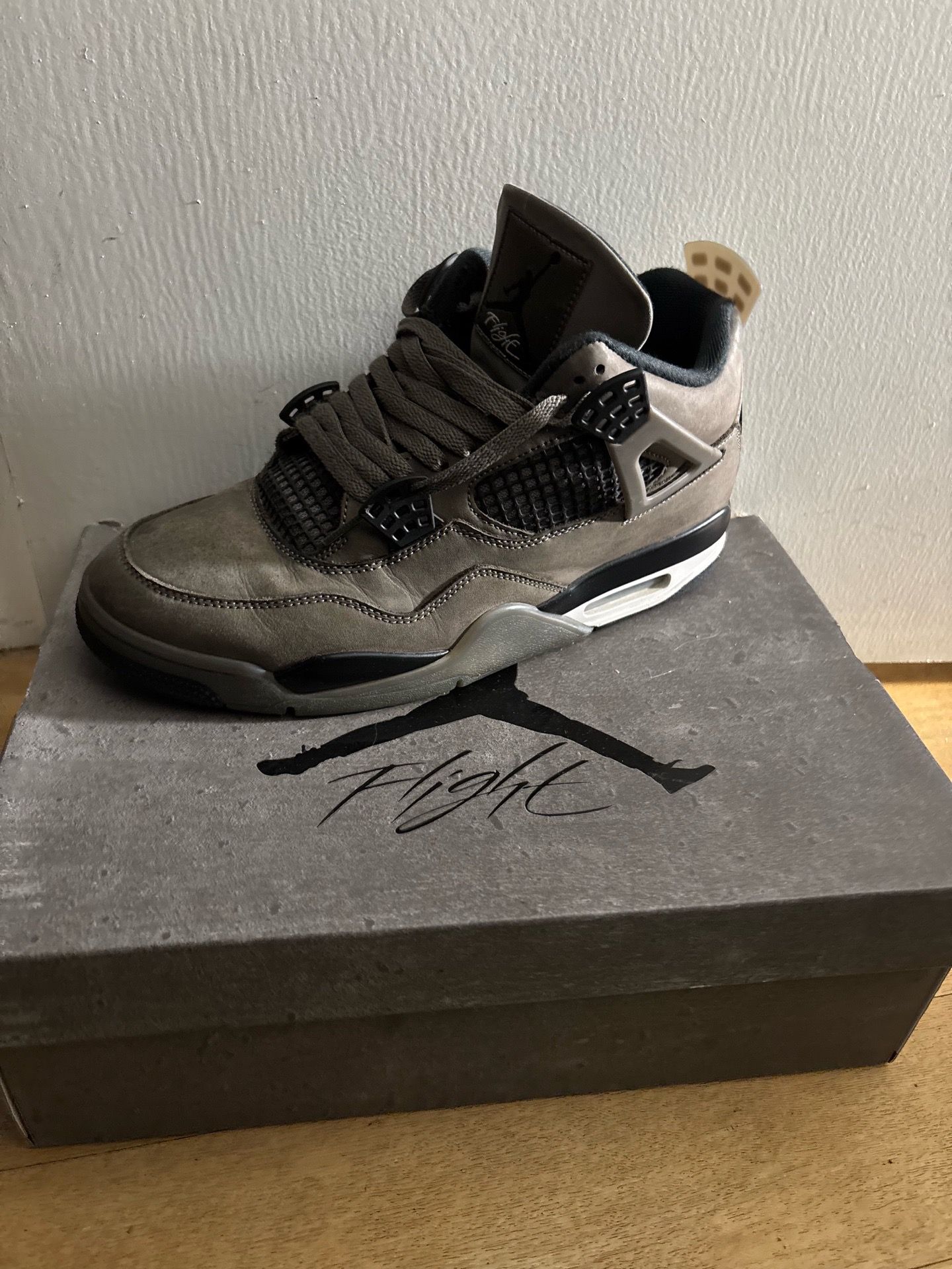 The new Jordan 4’s Size 11
