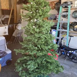 7.5 Christmas Tree 