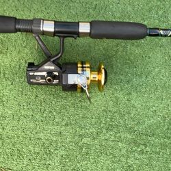 Fishing Rod & Reel