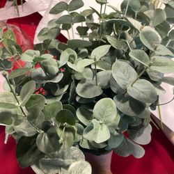 Assorted Fake Eucalyptus Stems