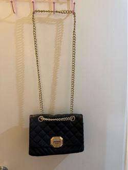 Aldo purse