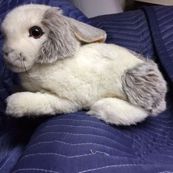 Vintage Steiff Rabbit Spotty 2995/30