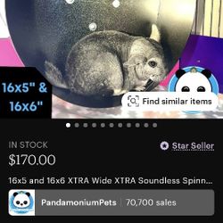 Pandamonium Pets Chinchilla Wheel