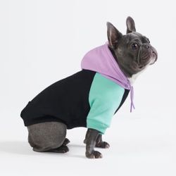Spark Paws Dog Hoodie Sweater