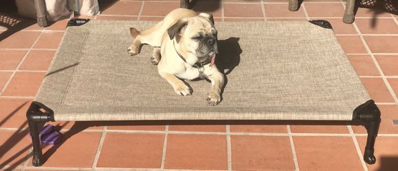 Veehoo Cooling Elevated Dog Bed