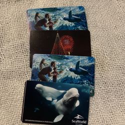 4 Sea World Tickets 