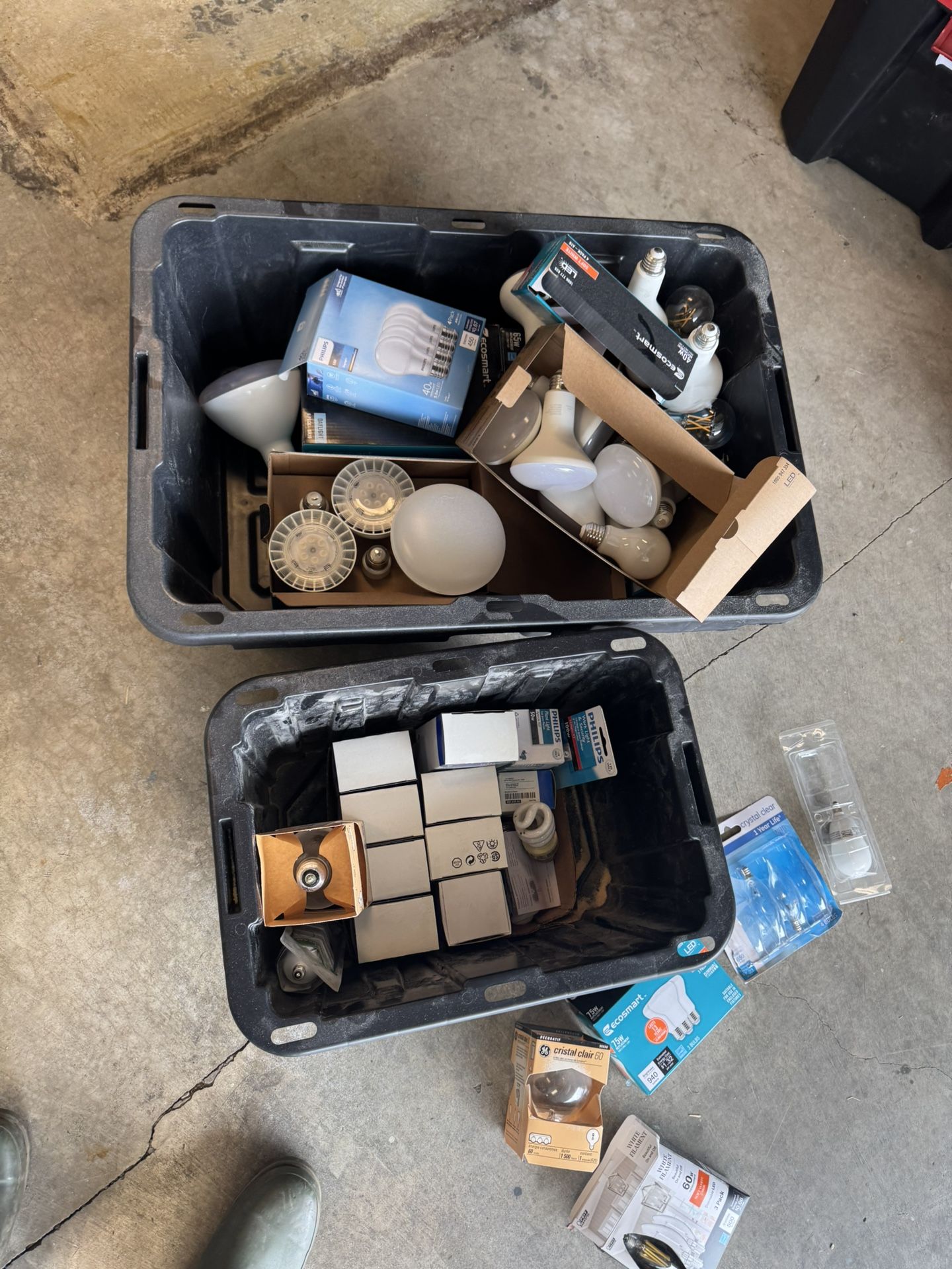 Assortment Of Lightbulbs - Free