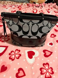 Coach Signature  canvas Bag