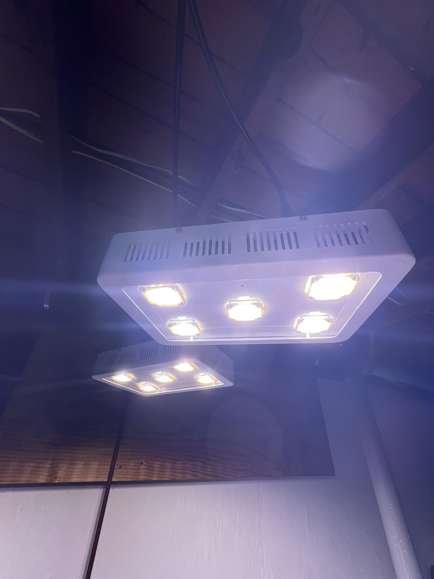 2× X5 LED Grow Lights – $100 for Both or $60 Each