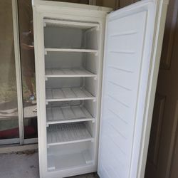 Stand Up Freezer 