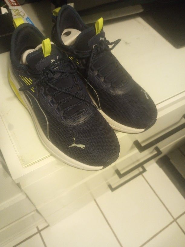 Pumas