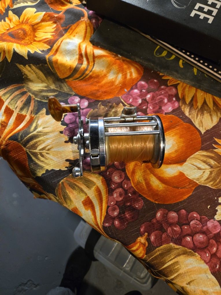 Pflueger Seaking Reel Fishing 