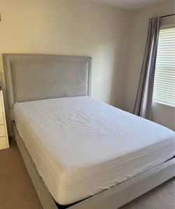 Bed frame, mattress and box spring