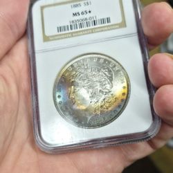 1885 Ms 65 STAR Toned Beauty