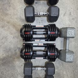 40lb Dumbbell For Sale