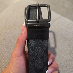 Coach Belt