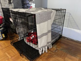 Dog Crate