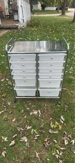 12-Drawer Rolling Storage and Utility Cart
