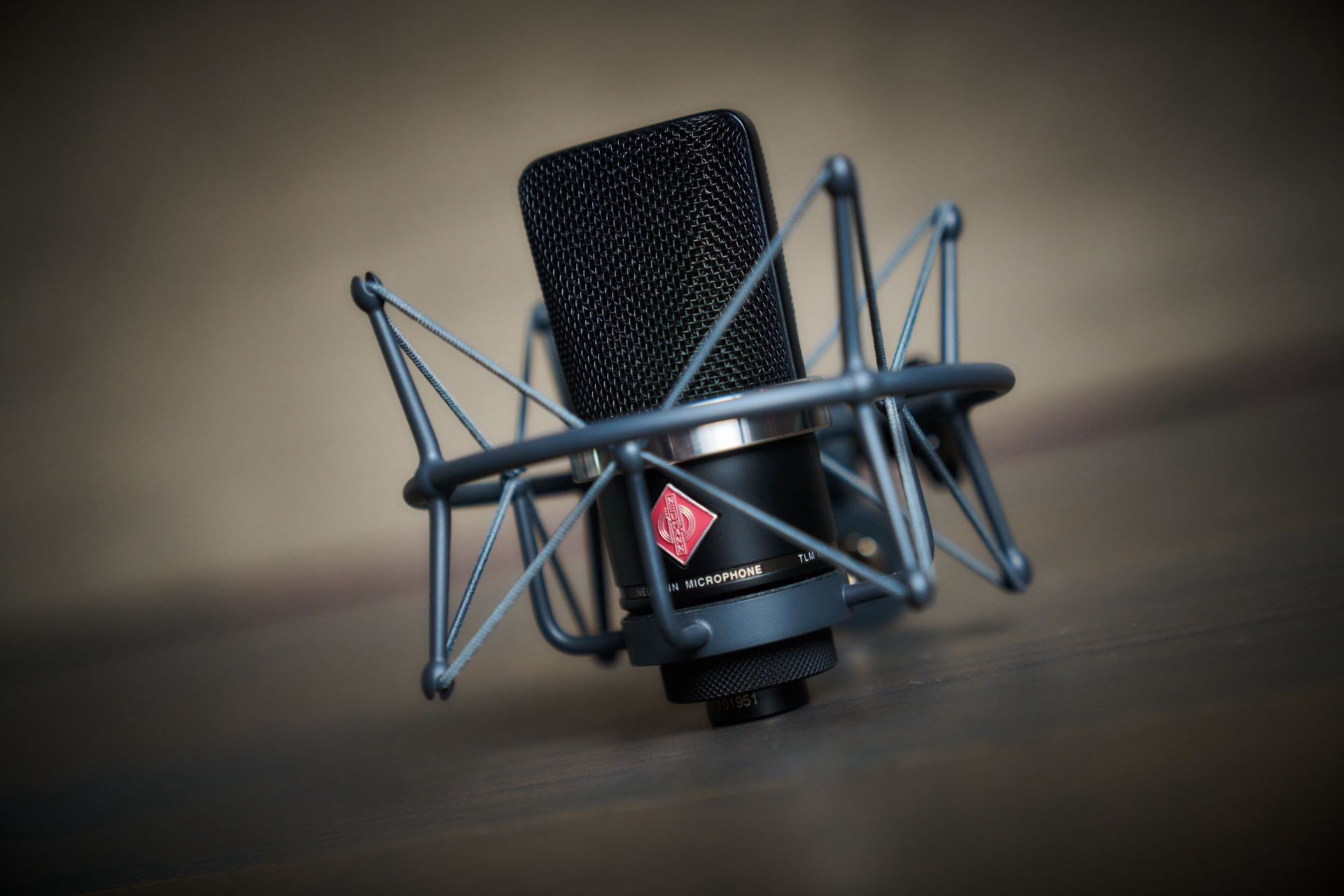 Neumann TLM 102 Large Diaphragm Condenser Microphone W/ EA1 Shockmount