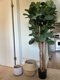 6’ Artificial Fiddle Leaf Fig Tree w/ Woven Basket – Like New