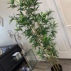 Pretty Artificial Plant ( Bamboo Tree) 6 Ft Tall ! Brand New