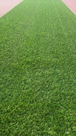 Turf