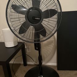 Fan
