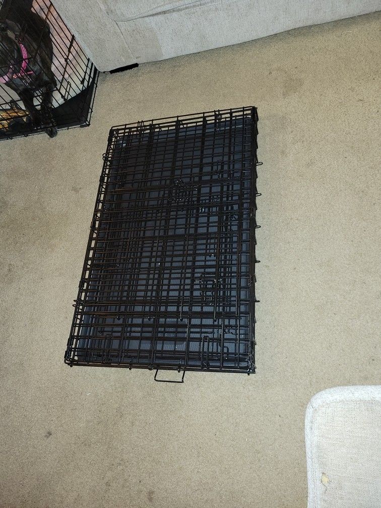 Dog Kennel