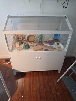 Hamster cage
