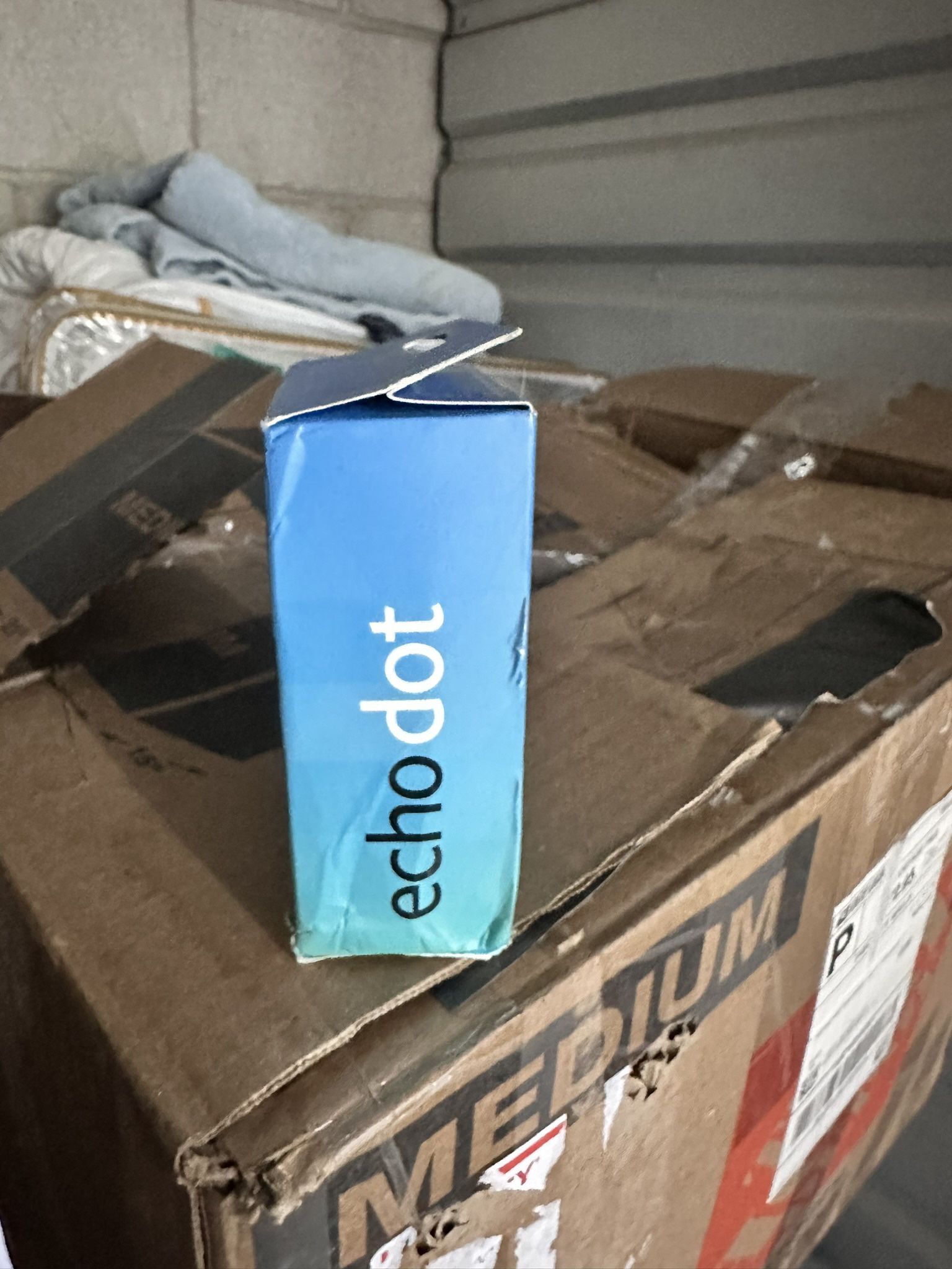 Echo Alexa