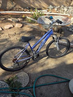 Schwinn ranger 24 inch girls bike