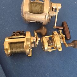 Saltwater Reels