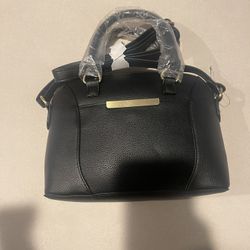 Black Purse 