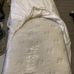 Twin Bed (Twin XL) Kingsdown